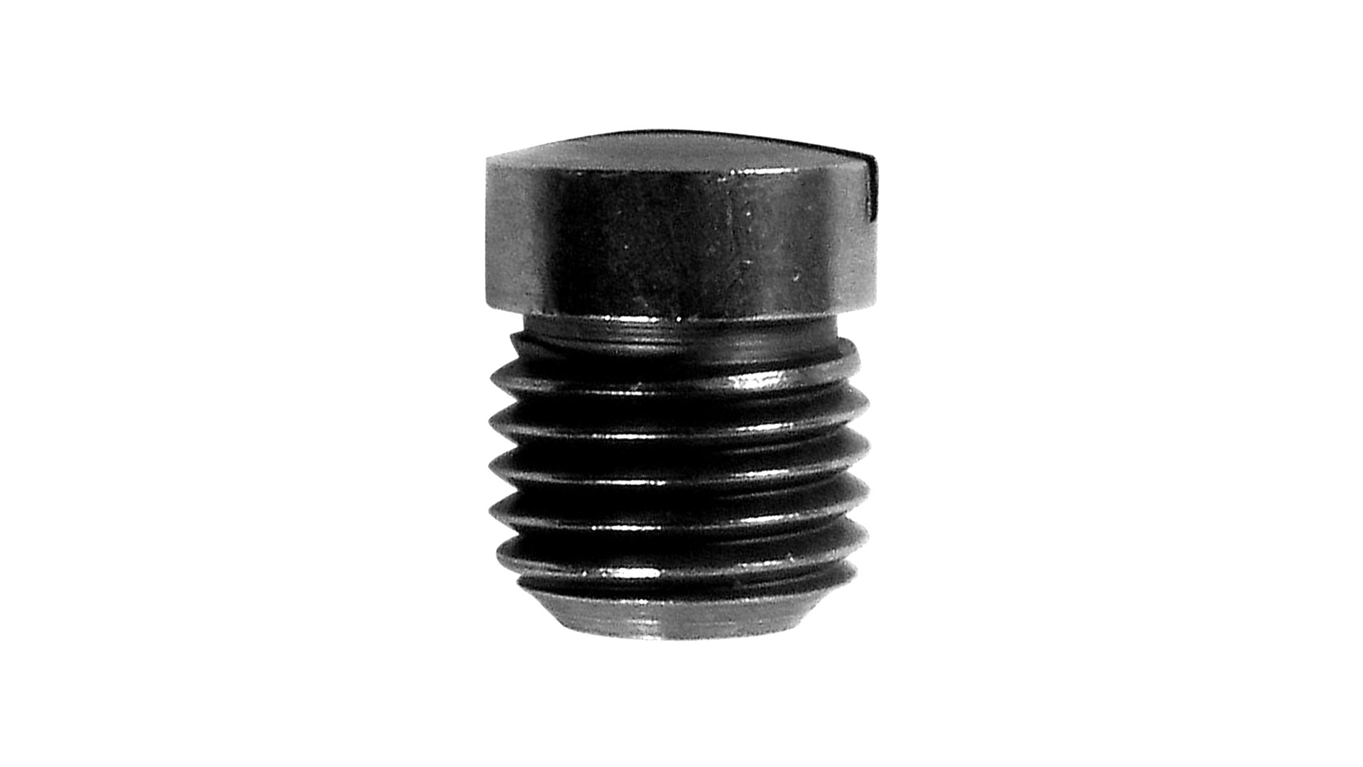 Fixing Screw for Rotary Hooks Fixing Screw for Rotary Hooks